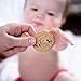 Booby Boons Lactation Cookies; Cow Gal (Trail Mix) Breastfeeding Support Supplement, 6 Ounce Bag, Fenugreek Free, Gluten Free, Soy Free, Non GMO. Award Winning. The milk’s on the way with Booby Boons Lactation Cookies.