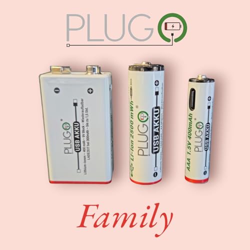 Batterie USB - Batterie au lithium AAA 1,5 V - Avec câble de charge USB type C 2 en 1 - 600 mWh - Lot de 2