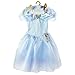 CINDERELLA LIVE ACTION Ella's Blue Dress Costume