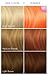ARCTIC FOX Vegan and Cruelty-Free Semi-Permanent Hair Color Dye (4 Fl Oz, PORANGE)