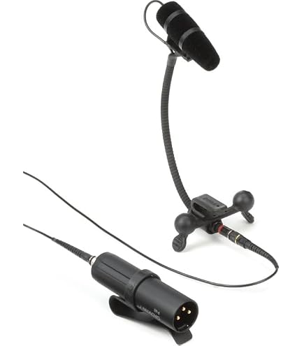 DPA 4060 CORE Mini Omnidirectional Microphone with Microdot