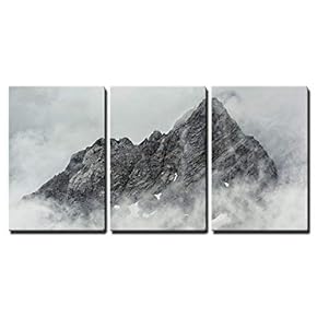 3 Piece Canvas Wall Art - Blue Bar Chameleon Close Up - Modern Home Art Stretched and Framed Ready to Hang - 16"x24"x3 Panels