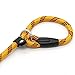 Coolrunner 5 FT Nylon Dog Leash, Pet Slip Lead, Heavy Duty Dog Rope, Standard Adjustable Dog Training Leash for Small & Medium Dogs(10-80 lb)