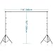 Neewer 6.5x9.8ft/2x3M Background Stand Backdrop Support System with 6x9ft/1.8x2.8M Muslin Backdrop (White, Black, Green), Clamps and Carrying Bag for Portrait,Product Photography and Video Shooting