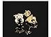 Tidoo Jewelry Lovely Cute Black Owl Studs Earring