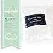 Camden Hill Memory Foam Tencel Pillow (Queen)