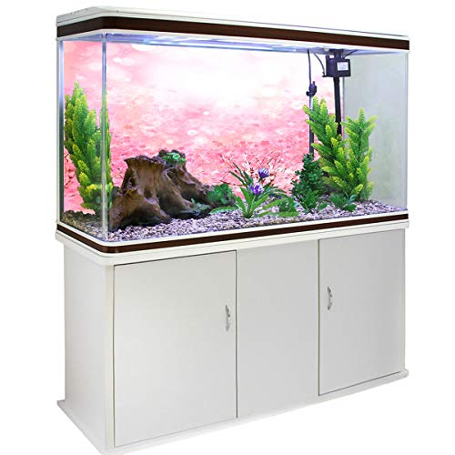 pink fish tank