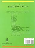 Image de Hierbas para caballos/ Herbs for Horses (Guias Ecuestres Ilustradas/ Illustrated Equestrian Guides) (Spanish Edition)