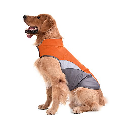 Top 10 Hunting Coats For Dogs of 2020 No Place Called Home