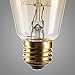 KINGSO Vintage Edison Bulbs 40W Squirrel Cage Filament Incandescent Antique Light Bulb for Home Light Fixtures E27 Base ST64 110V - 12 Pack