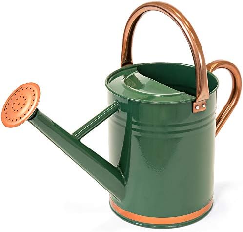 Best Choice Products 1-Gallon Lightweight Galvanized Steel Gardening Watering Can