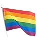 12 Pack Mini Rainbow Flags for LGBTQ Gay Pride Parade, Small Handheld Flag on Stick for Mardi Gras, 11.7 in