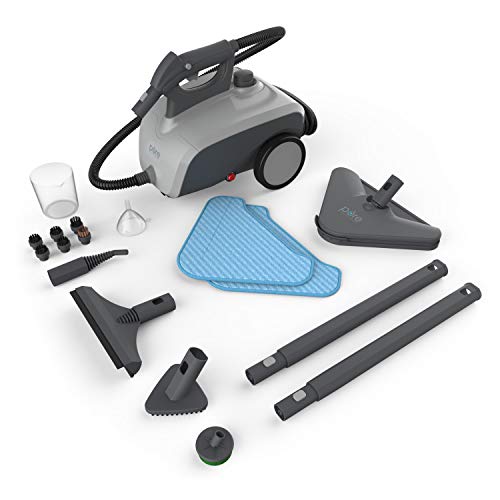 The Best Portable Steam Cleaner for Furniture