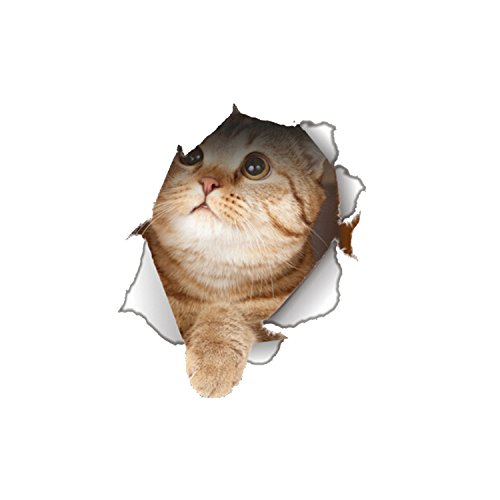 Greatstar DIY 3D Through The Wall Lovely Dog&cat Fridge Stickers Bathroom Toilet Cover Water Tanks Decal (Cat2)
