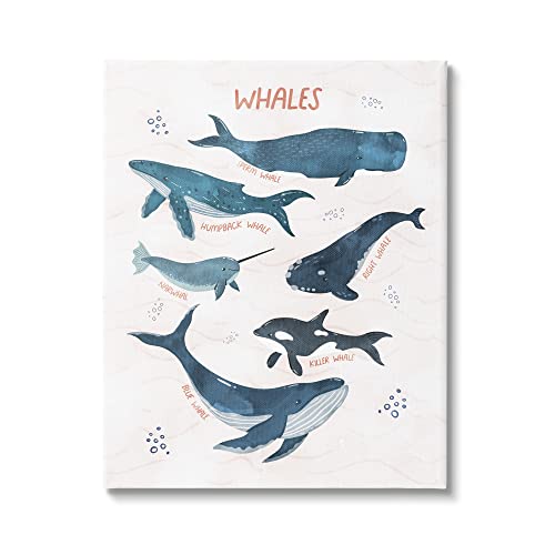 Stupell Industries Nautical Diagram Whale Narwhal Types Bubbles Illustration, D…