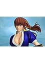 DEAD OR ALIVE 5 かすみ|サンプル10