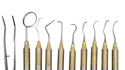 Dental Cleaning Tool kit Set of curettes Dental Hygienist Tool kit ARTMAN Brand by Wise Linkers