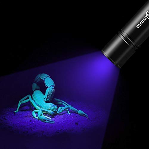 Escolite UV Flashlight Black Light Flashlight, 2pcack 12 LED 395 nM Ultraviolet Blacklight Flashlight Detector for Dog Urine, Pet Stains, Matching with Pet Odor Eliminator(Betteries not Include) - Thumbnail 4