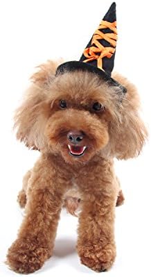 HBuir Headwear with Horn Dog Witch Hat