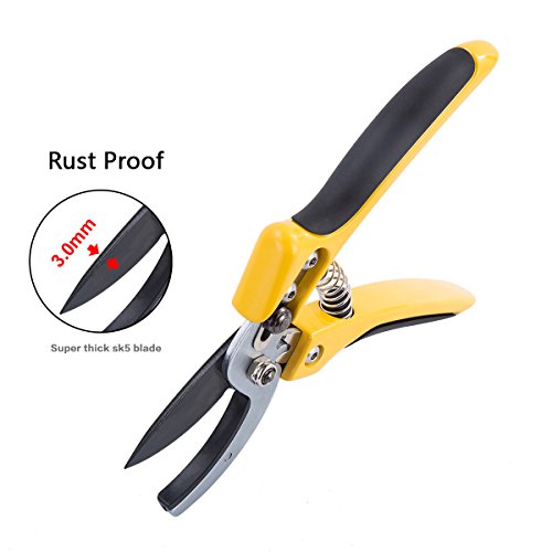 Anvil Pruning Shears 8 inch Professional SK-5 Steel Blade Sharp Gardening Scissors Flower Hand Pruners Garden Clippers