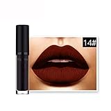 Lipstick，BeautyVan Beautiful Women Fashion Waterproof Matte Liquid Lipstick Long Lasting Lip Gloss Lipstick (N)