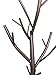 Kings Brand Bronze - Finish Metal Hall Tree Coat & Hat Rack with Branches