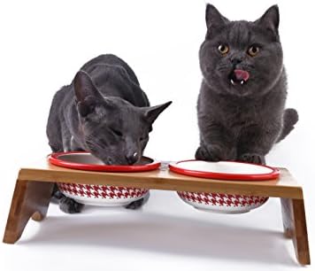 MushroomCat Double Ceramic Bowls Dog Cat Bowl Bamboo bracket antiskid (6.3Wx14.1L)