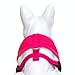 EcoBark Dog Harness - Eco-Friendly Soft Dog Harness - Over the Head Dog Harness Vest - Toy Breed Dog Harness - Small Harness for Puppies - No Pull No Choke for Puppy - Mesh Harness for Small Dogs - Chest Halter Harness (Small, Pink Dog Harness)