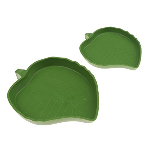 image for Homyl Shallow Reptile Amphibians Food and Water Dish Small Pets Corner