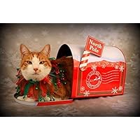 Snarky By Nature Greetings Cute Kitty Christmas Card (Set of 5)