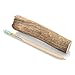 Best Bully Sticks Grade-A Large Whole Elk Antler Dog Chew (1 Antler) Sourced in the USA