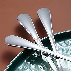 Dinner Spoon of 6, Berglander 7.5" Stainless Steel