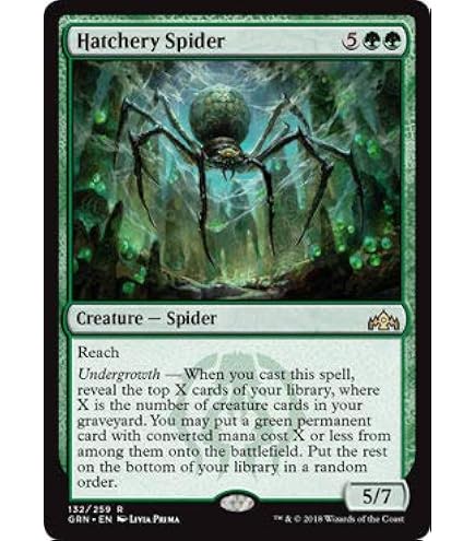 Amazon.com: Magic: the Gathering - Spider Umbra