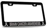 BRAIN CANCER AWARENESS Cancer Awareness Steel Metal License Plate Frame cb