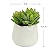 Small Faux Sedum Succulent in Round White Ceramic Planter - 4 x 4.5 Inches - Marmeda Decor Potted Artificial Plant in Glazed Clay Vase - Global Modern Decor for Home or Office