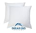 Euro Pillows Set of 2 (26 x 26 inch) Square Pillow Inserts for Decorative Bed Pillow Shams - Down Alternative, Filled in USA