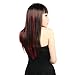 Neitsi 10pcs Colored Highlight Clip on in Hair Extensions #F03