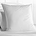 Splendid Collection Euro Square Pillows, 2-Pack 26-by-26 Inch