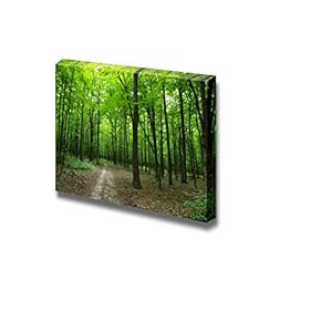 Canvas Prints Wall Art - Beautiful Scenery/Landscape Quiet Path in The Green Forest | Modern Wall Decor/Home Decoration Stretched Gallery Canvas Wrap Giclee Print & Ready to Hang - 12" x 18"