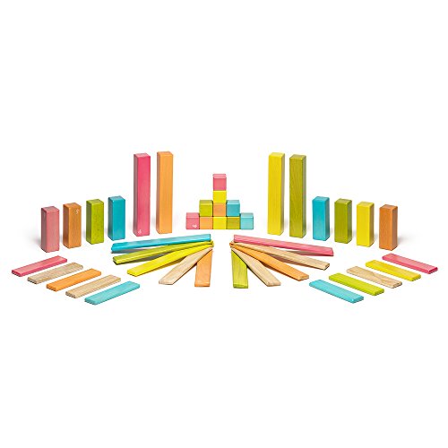 42 Piece Tegu Magnetic Wooden Block Expansion Pack Large, Tints