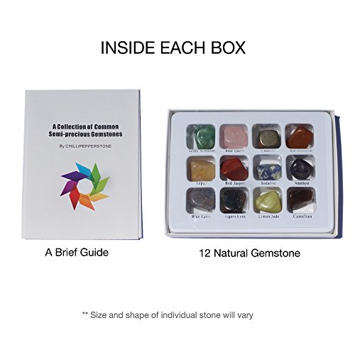 Chillipepperstone 12 Semiprecious Gemstone Box Collection Stones Rock, Natural Polished, 1/2 to 3/4 Inch