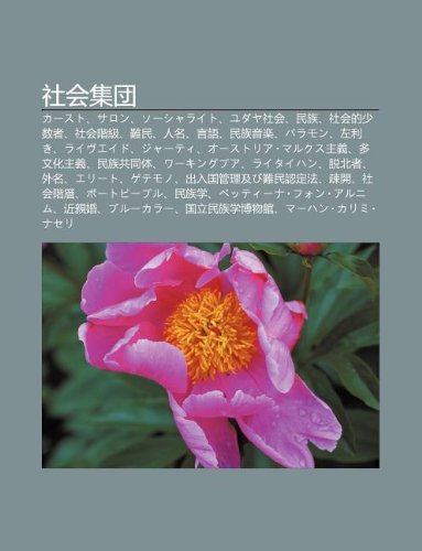 She Hui Ji Tuan K Suto Saron S Sharaito Yudaya She Hui Min Zu She Hui De Sh O Shu Zh She Hui Ji Ji Nan Min Ren Ming Yan Y