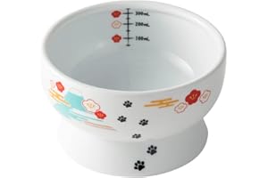Necoichi Elevated Cat Water Bowl – Ceramic Raised Cat Bowl, Prevents Neck & Whisker Fatigue – Dishwasher & Microwave Safe – Pet Water Bowl for Cats (Fuji, Regular)