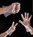 Rayhee 500 Pcs Plastic Disposable Gloves - Food Prep Gloves, Transparent, One Size Fits Most