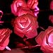 NYKKOLA 20 LED Battery Operated String Flower Rose Fairy Light Wedding Room Garden Christmass Decor (Pink)