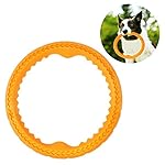 Bascolor Dog Toys Interactive Flying Disc Dogs Frisbee Flyer Chew Toy 9.8 Inches for Medium Large Dogs Mango Flavor