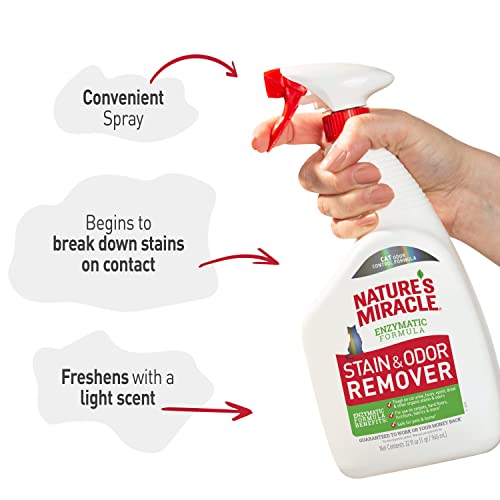 Nature's Miracle Stain and Odor Remover, Spot Stain and Pet Odor
