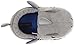 Stride Rite Boy's Light-Up Mouth Shark Slipper, Grey, 13-1 M US Little Kid