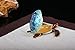 Znewlook Sea Turtle Crystal Studded Pewter Jewelry Trinket Box Czech Crystal Turtle Trinket from