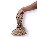 Spin Master - Kinetic Sand - 1.5lb - Brown